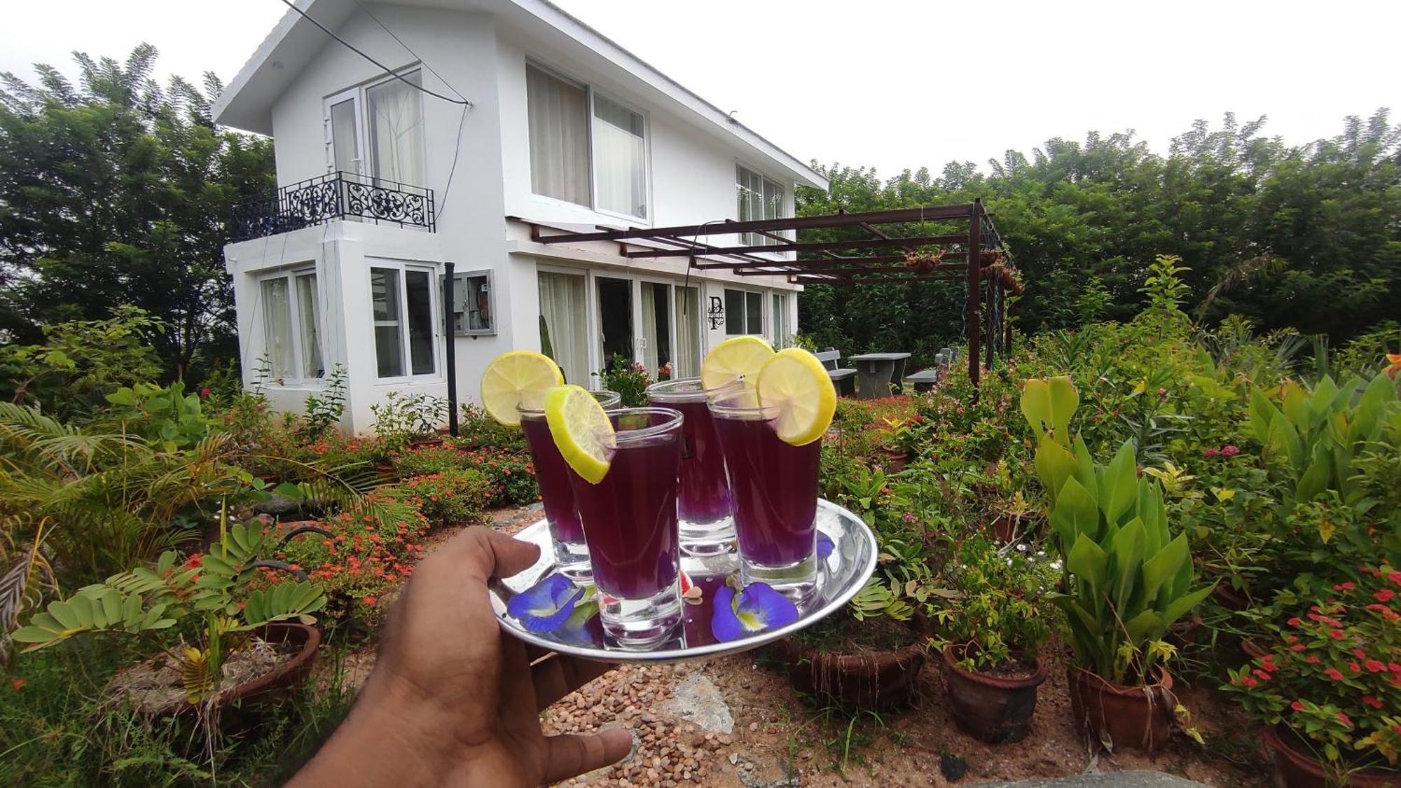 Vaksana Farm Stay Gudraippattu ภายนอก รูปภาพ