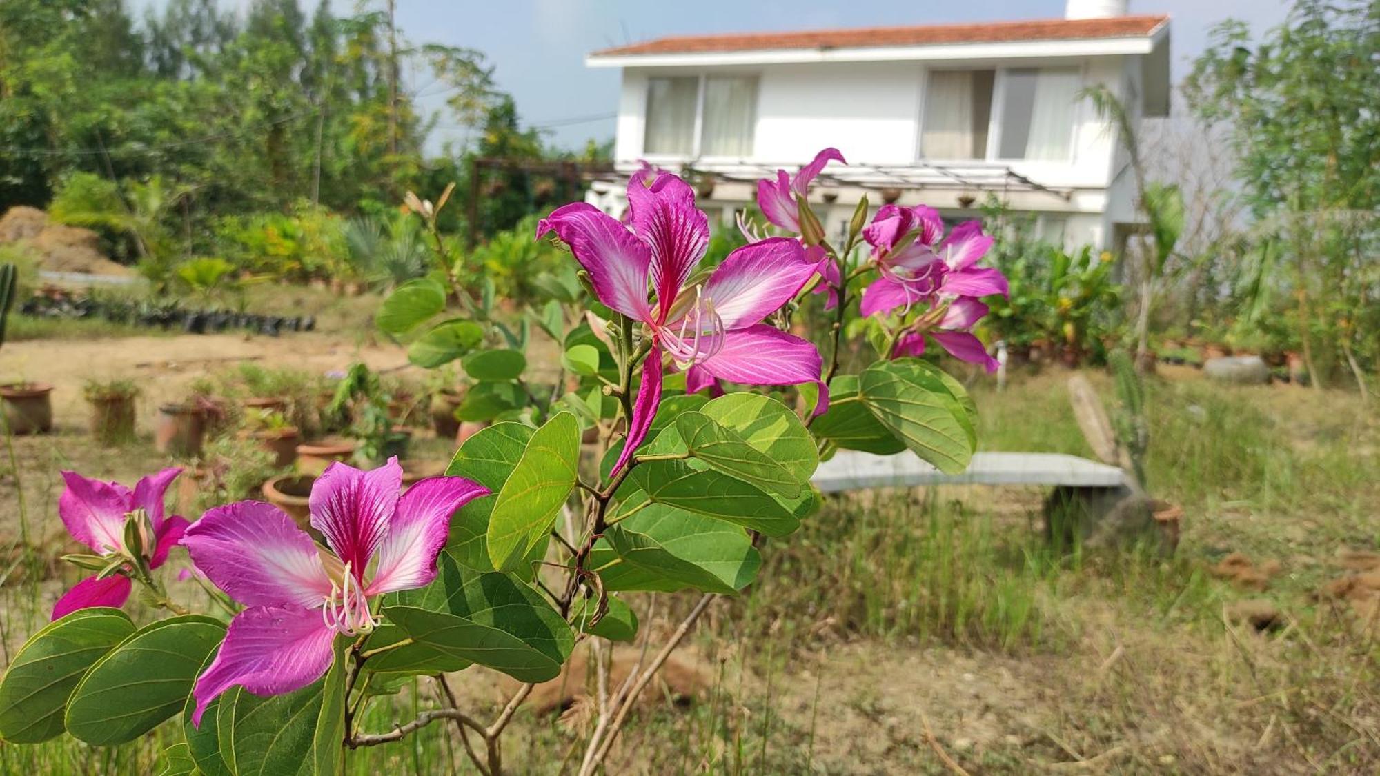 Vaksana Farm Stay Gudraippattu ภายนอก รูปภาพ