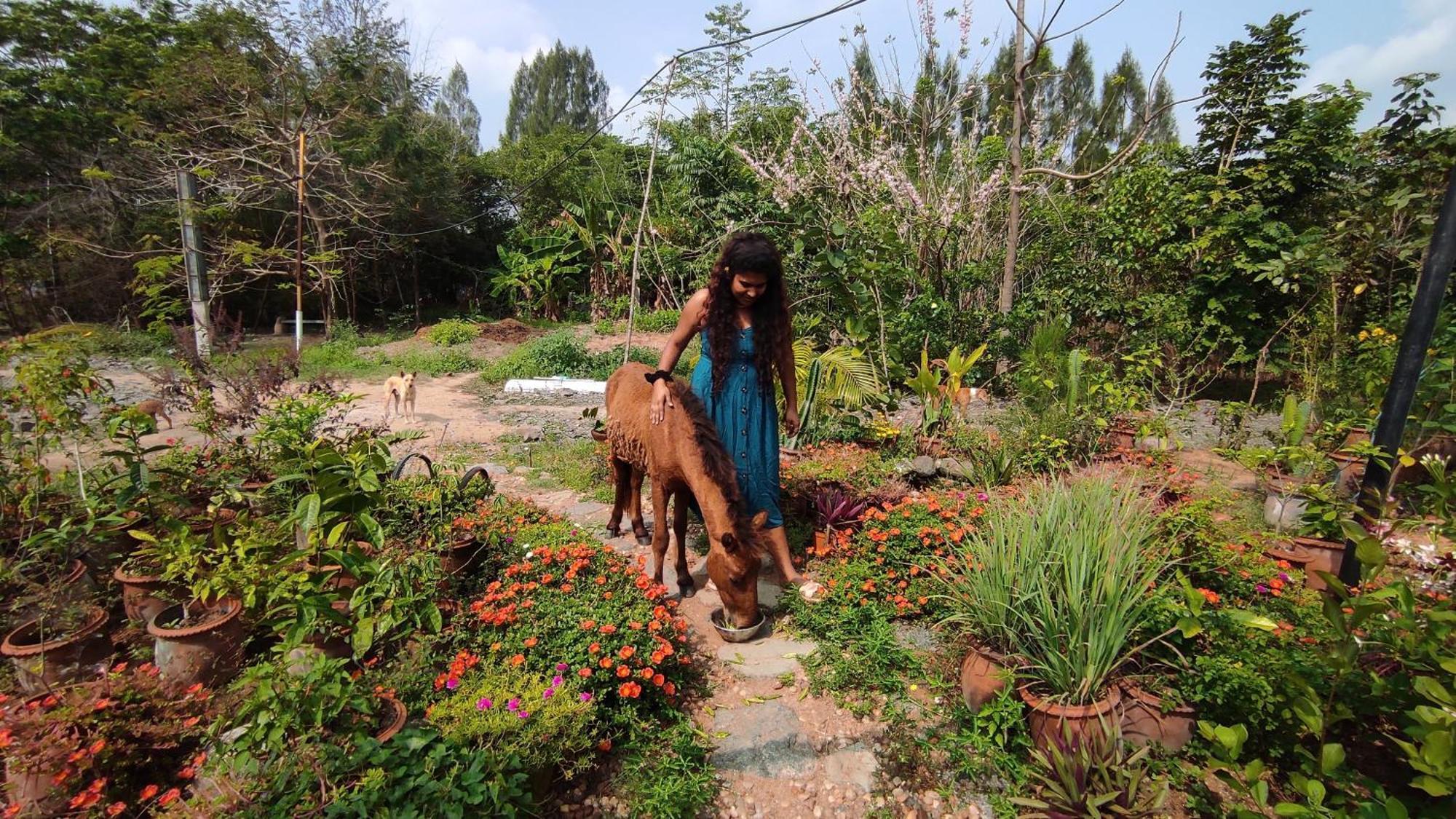 Vaksana Farm Stay Gudraippattu ภายนอก รูปภาพ